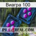 Виагра 100 03